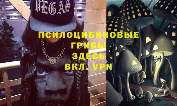 эйфоретик Аркадак