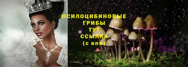 мяу мяу мука Алзамай