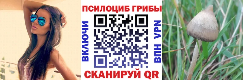 Галлюциногенные грибы GOLDEN TEACHER купить наркоту Строитель